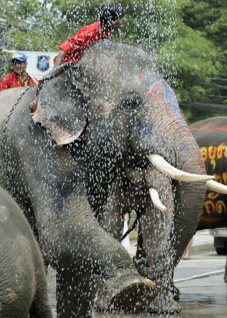The Songkran festival or Thai New Year water festival to is in full swing north of Bangkok in Ayutthaya Thailand in Southeast Asiaのeditorial素材