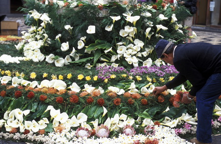 The traditional Fruehlings Flower Festival in Funchal on the island of Madeira in the Atlantic Oceanのeditorial素材