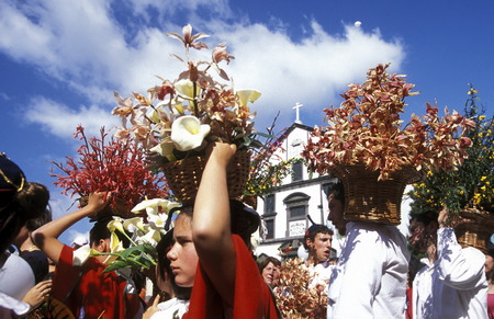 The traditional Fruehlings Flower Festival in Funchal on the island of Madeira in the Atlantic Oceanのeditorial素材