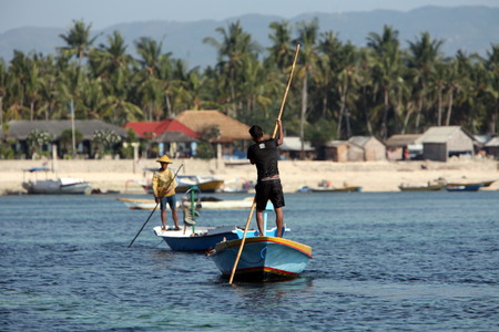 The harvest in the sea grass plantation on the island of Nusa Lembongan of the neighboring island of Bali, Indonesiaのeditorial素材