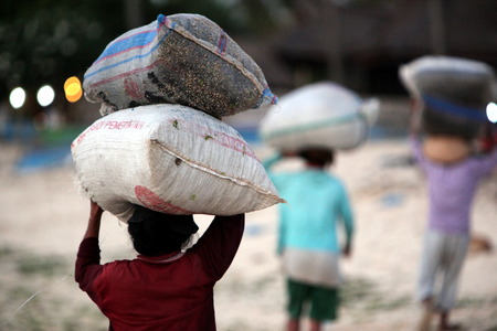The harvest in the sea grass plantation on the island of Nusa Lembongan of the neighboring island of Bali, Indonesiaのeditorial素材