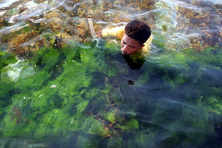 The harvest in the sea grass plantation on the island of Nusa Lembongan of the neighboring island of Bali, Indonesiaのeditorial素材