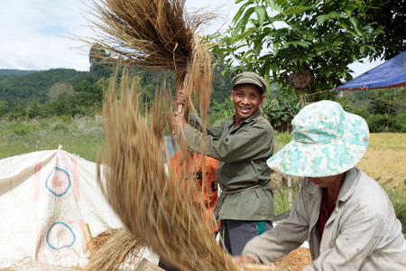 A paddy field at the village of Kasi at the national highway 13 between Vang Vieng and Luang Prabang in Laos of Central Laos in Southeast Asia in the mountain regionのeditorial素材