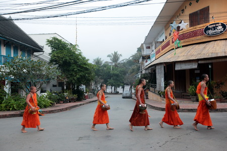 Monks in the early morning when collecting rice in the old town of Luang Prabang in Laos of Central Laos in South East Asiaのeditorial素材