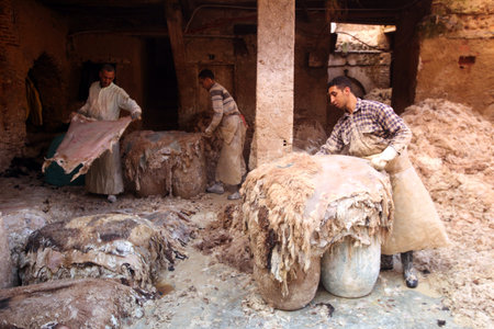 The Leather production in the old City in the historical town of Fes in Morocco in north Africa.のeditorial素材