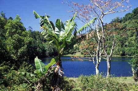 the mountain Landscape on the Island of Anjouan on the Comoros Ilands in the Indian Ocean in Africa.   の写真素材