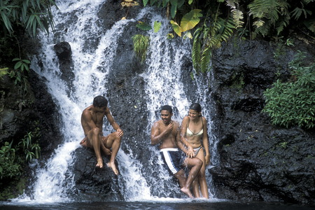the waterfall and natural parc of La Ravine St Gilles bei St Gilles les Bains on the Island of La Reunion in the Indian Ocean in Africa.のeditorial素材