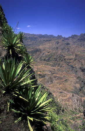 the landscape near the village of Ponta do Sol near Ribeira Grande on the Iceland of Santo Antao in...