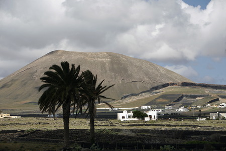 The volcanic Hills and Palmtrees on the Island of Lanzarote on the Canary Islands of Spain in the Atlantic Ocean.
の写真素材