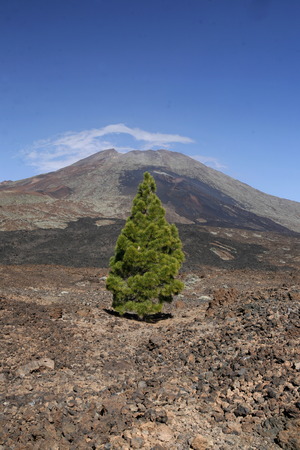 The Volcano Teide on the Iceland of Tenerife on the Canary Islands of Islands of Spain in the Atlantic.のeditorial素材