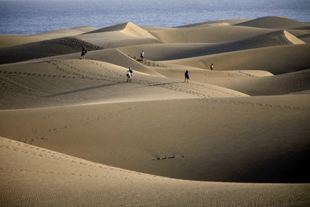 the Sanddunes at the Playa des Ingles in town of Maspalomas on the Canary Island of Spain in the Atlantic ocean.のeditorial素材