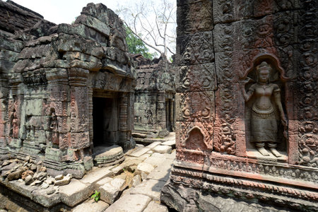 The Temple of Ta Prohm in the Temple City of Angkor near the City of Siem Reap in the west of Cambodia.のeditorial素材