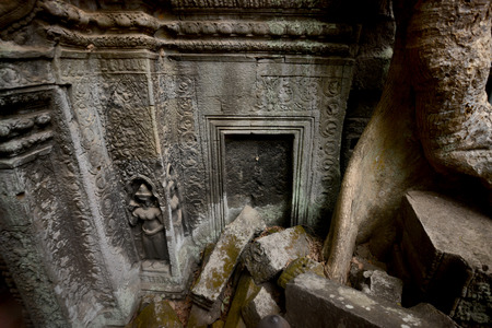 The Temple of  Ta Prohm in the Temple City of Angkor near the City of Siem Riep in the west of Cambodia.のeditorial素材