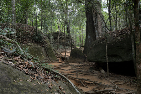 The Trail to the Tempel Ruin of  Kbal Spean 50 Km northeast of in the Temple City of Angkor near the City of Siem Riep in the west of Cambodia.のeditorial素材