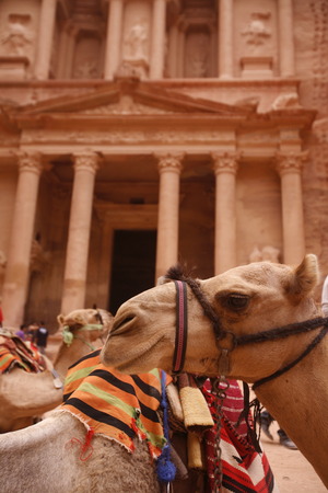 The Al Khazneh Treasury in the Temple city of Petra in Jordan in the middle east.のeditorial素材