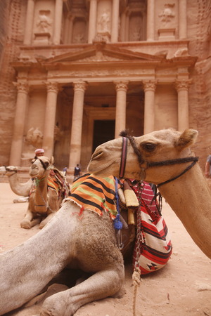 The Al Khazneh Treasury in the Temple city of Petra in Jordan in the middle east.のeditorial素材