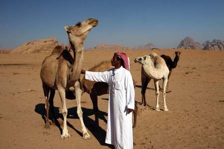 The Landscape of the Wadi Rum Desert in Jordan in the middle east.のeditorial素材
