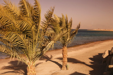 the coast with a Beach in the city of Aqaba on the red sea in Jordan in the middle east.の写真素材
