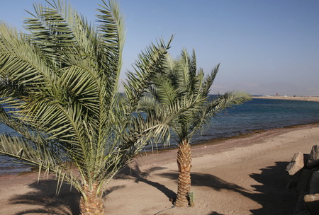 the coast with a Beach in the city of Aqaba on the red sea in Jordan in the middle east.の写真素材