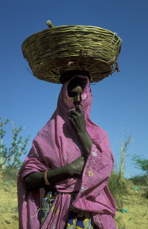 a women  in the town of Jaisalmer in the province of Rajasthan in India.のeditorial素材