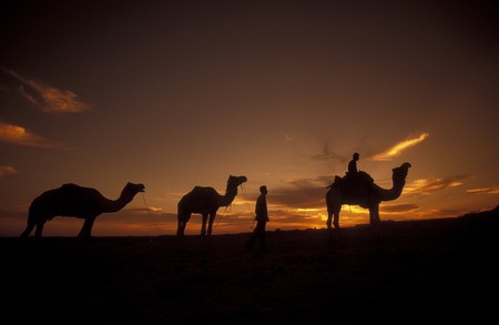 Ein Kamel Besitzer in der Tar Wueste bei Jaisalmer in der Provinz Rajasthan in West Indien in Indien.のeditorial素材