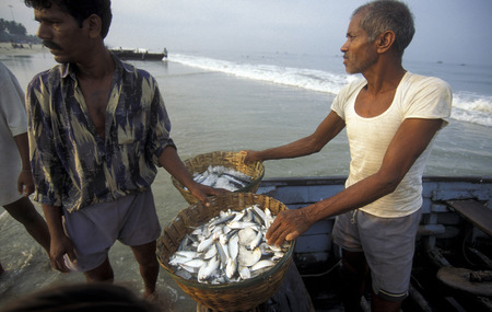 Fishing men at the beach of Colva in the Province Goa in India.のeditorial素材