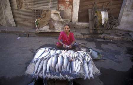 a women sales fish at the market in the city of Surat in the Province of Gujarat in India.のeditorial素材