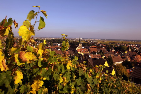 the olt town of the village of Riquewihr in the province of Alsace in France in Europeの写真素材
