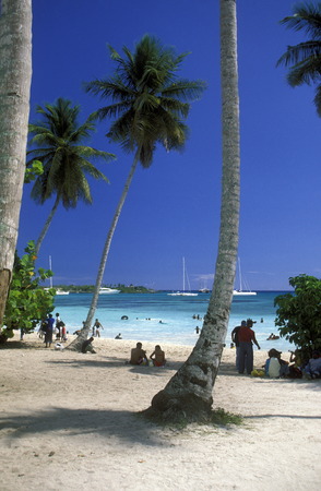 a Beach at the Village of  Bavaro in the Dominican Republic in the Caribbean Sea in Latin America.のeditorial素材
