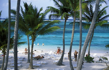 a Beach at the Village of  Bavaro in the Dominican Republic in the Caribbean Sea in Latin America.のeditorial素材