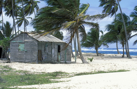 a Beach at the Village of Las Terrenas on Samanaon in The Dominican Republic in the Caribbean Sea in Latin America.のeditorial素材