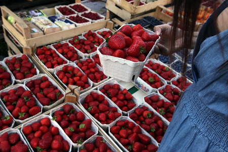 the market in the old town of Freiburg im Breisgau in the Blackforest in the south of Germany in Europe.のeditorial素材