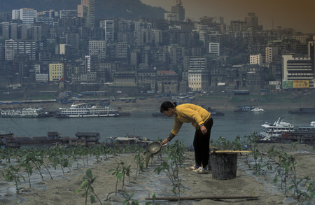 agro culture in the village of Fengjie at the yangzee river in the three gorges valley up of the three gorges dam project in the province of hubei in china.のeditorial素材