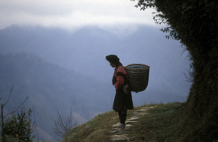 a farmer women in the rice fields of the village of Longsheng in Guangxi province in the south of China.のeditorial素材