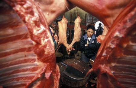 the meat market in the city of Canton or Guangzhou in the north of Hong Kong in the province of Guangdong in China in east asia.のeditorial素材