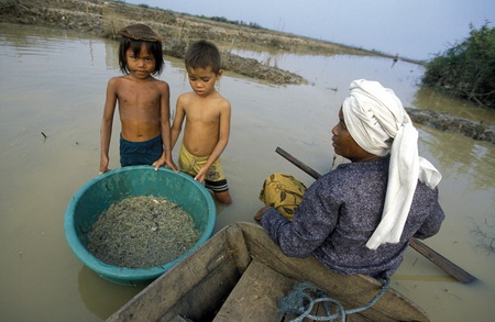 Everyday life on the Tonle Sap Lake in Siem Reap and the ancient city of Angkor in Cambodia in Southeast Asia.のeditorial素材