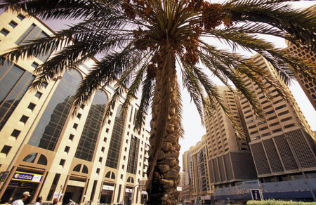 the skyline in the old town in the city of Dubai in the Arab Emirates in the Gulf of Arabia.のeditorial素材