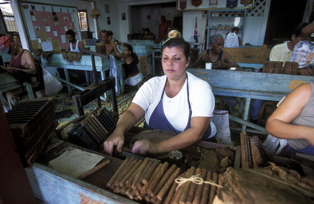 a Cigar factory in the Village of Baracoa on Cuba in the caribbean sea.のeditorial素材