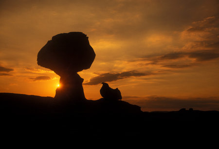 the white desert in the sahara desert in Egypt in North Africa.のeditorial素材