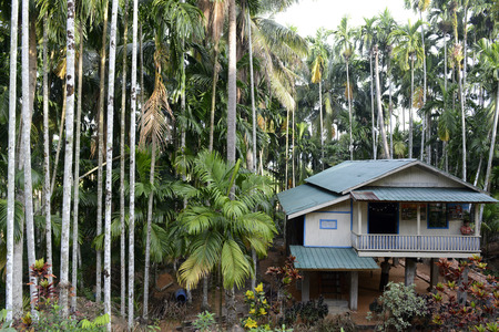 a House in a village near the city of Myeik in the south in Myanmar in Southeastasia.のeditorial素材