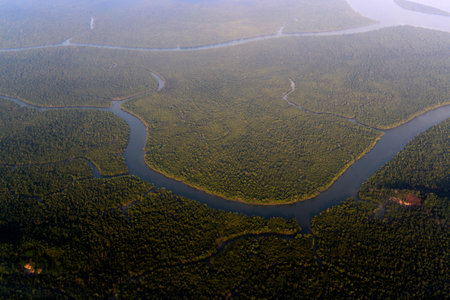 the landscape in a village near the city of Myeik in the south in Myanmar in Southeastasia.