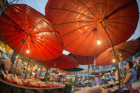 umbrellas at the morning Market in Nothaburi in the north of city of Bangkok in Thailand in Southeastasia.のeditorial素材
