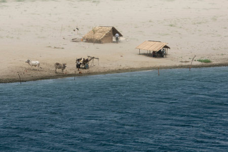 a farmer at the Ayeyarwady River in Bagan in Myanmar in Southeastasia.のeditorial素材