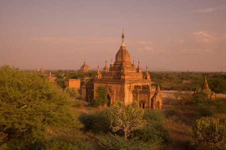 the Temple and Pagoda Fields in Bagan in Myanmar in Southeastasia.