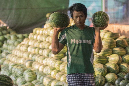 Melons in a Fruit market in a Market near the City of Yangon in Myanmar in Southeastasia.のeditorial素材