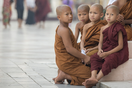 young monks in the Shwedagon Paya Pagoda in the City of Yangon in Myanmar in Southeastasia.のeditorial素材