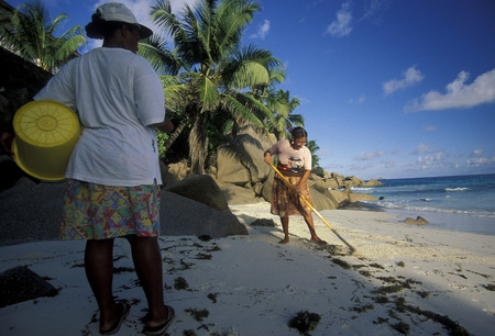 Women clean the beach on the coast if the Island La Digue of the seychelles islands in the indian oceanのeditorial素材