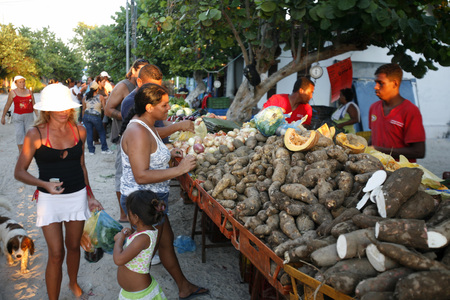 the market in the village on the Gran Roque Island at the Los Roques Islands in the caribbean sea of Venezuela.のeditorial素材