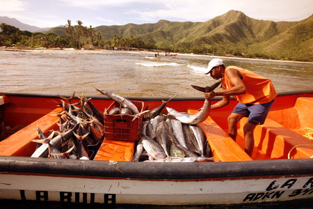 a fishermen at the coast in the town of  chuao on the caribbean coast in Venezuela.のeditorial素材