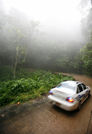 a road over a pass in the nature and forest near the village of choroni on the caribbean coast in Venezuela.のeditorial素材